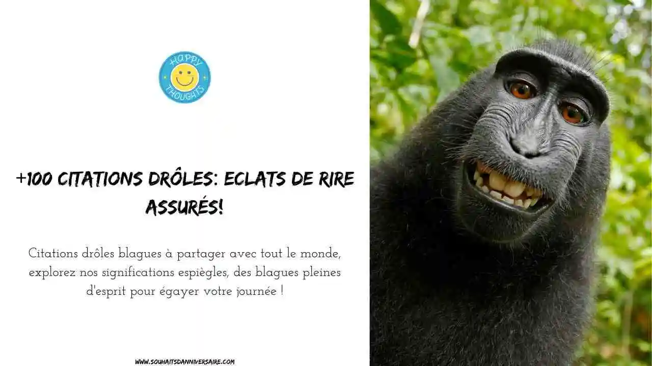 Un singe souriant avec des citations drôles fait rire tout le monde