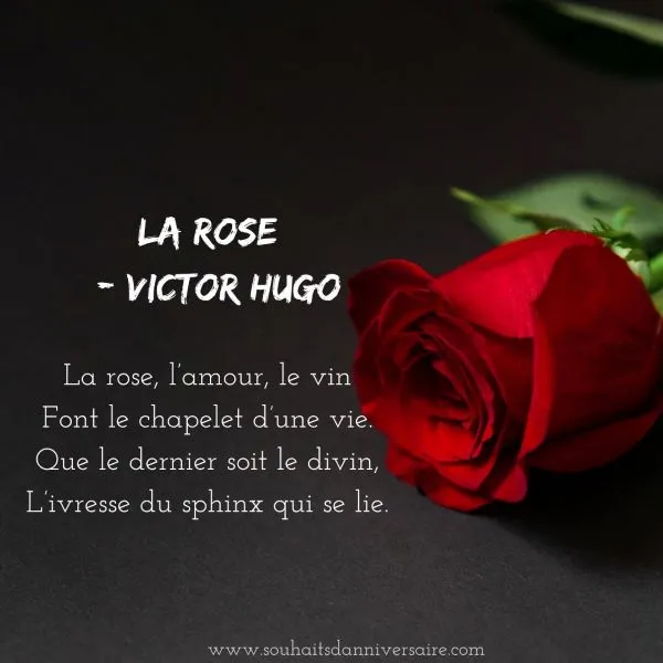 Poème d'amour - Victor Hugo - La rose